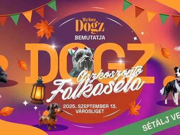 DOGZ Őszköszöntő Falkaséta plakátja