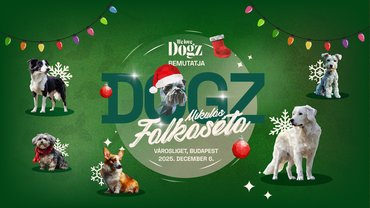 DOGZ Mikulás Falkaséta 2025 borító