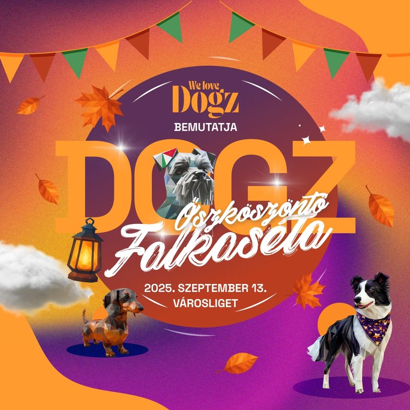 dogz_őszi_falkaséta_1080x1080