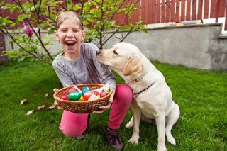 Easter with dog