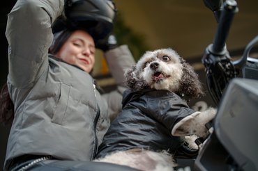egy nő kutyával motoron