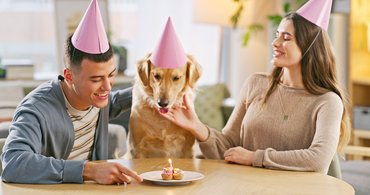 egy pár együtt ünnepel a kutyával