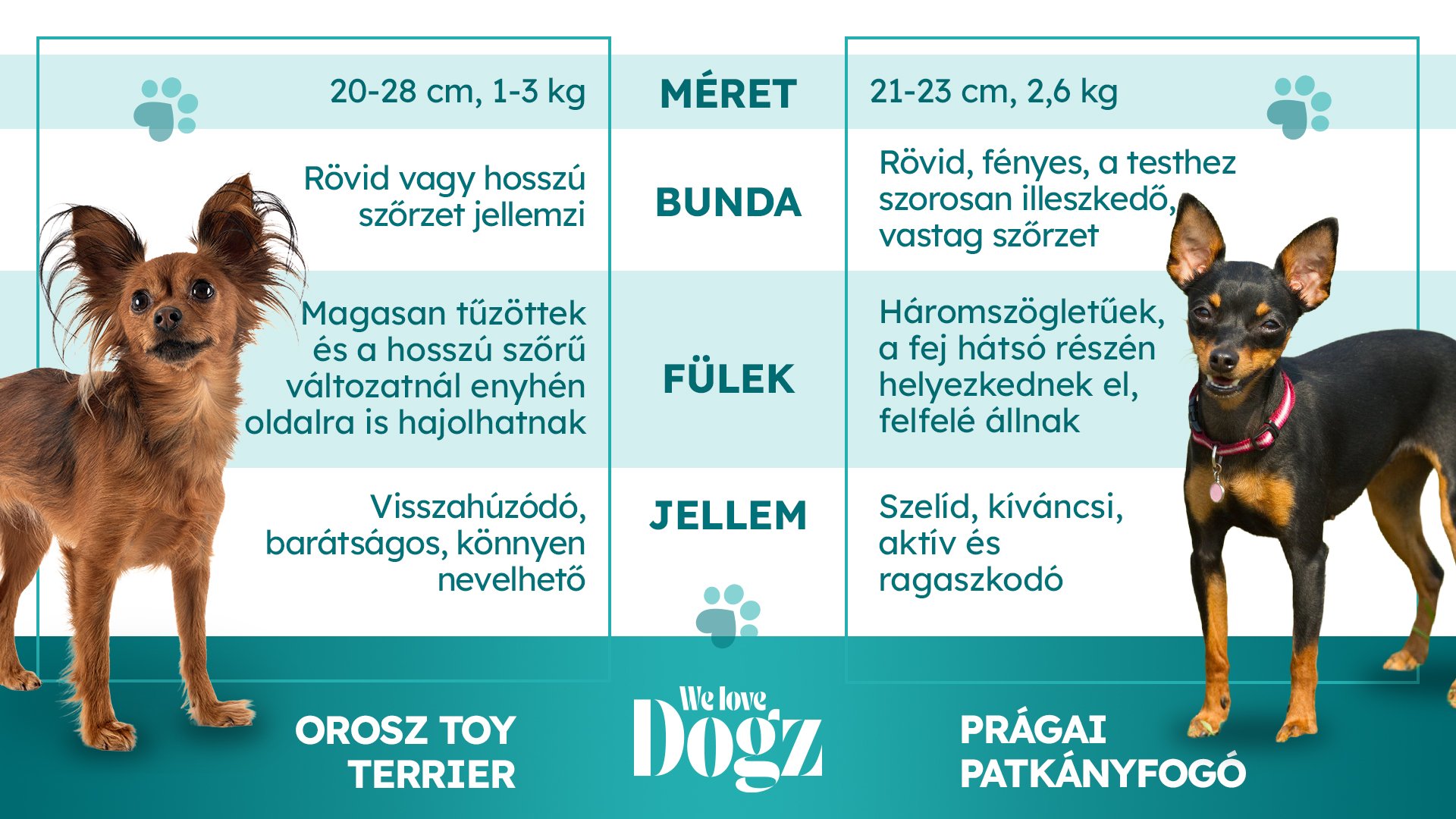 fajta_osszehasonlitas_06_05