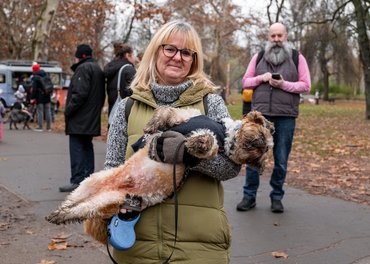 fáradt kutya gazdája ölében séta után
