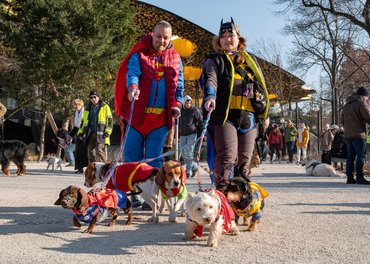 farsangi falkasétán egy pár kutyákkal