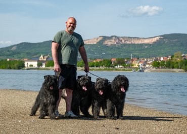 flandriai pásztorkutyák gazdájukkal