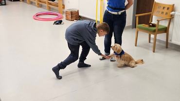 foglalkozás kutyával