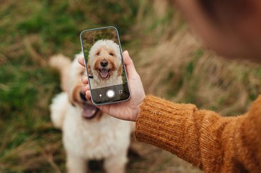 gazdi fotózza a kutyáját