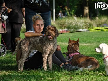 gazdi kutyáival a dogz falkasétán