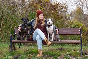 gazdi padon ül a kutyáival