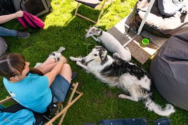 gazdik és kutyáik pihennek a dogz fesztiválon