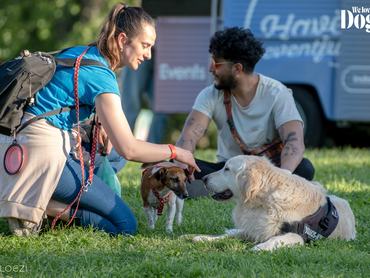 gazdik kutyáikkal a dogz fesztiválon