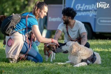 gazdik kutyáikkal a dogz fesztiválon