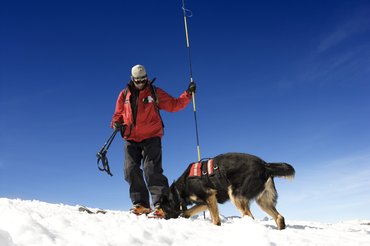 hegyimentő kutyával