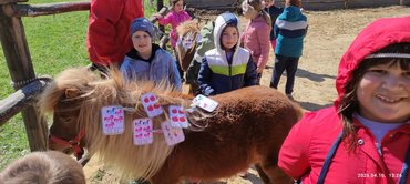 játék a pónival