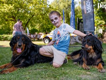 kisfiú a kutyáival a 2025-ös dogz fesztiválon