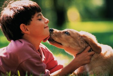kisfiú kölyökkutyával