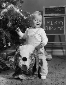 kutyás karácsonyi ajándék