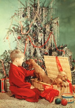 Kiskutyák karácsonyi ajándék gyanánt