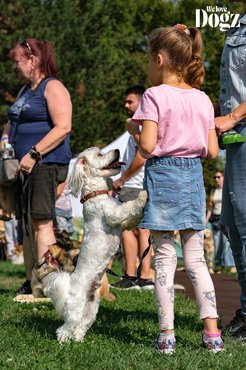 kislány a kutyájával