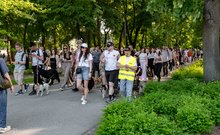 Közös falkaséta a DOGZ Fesztivál 2025-ön