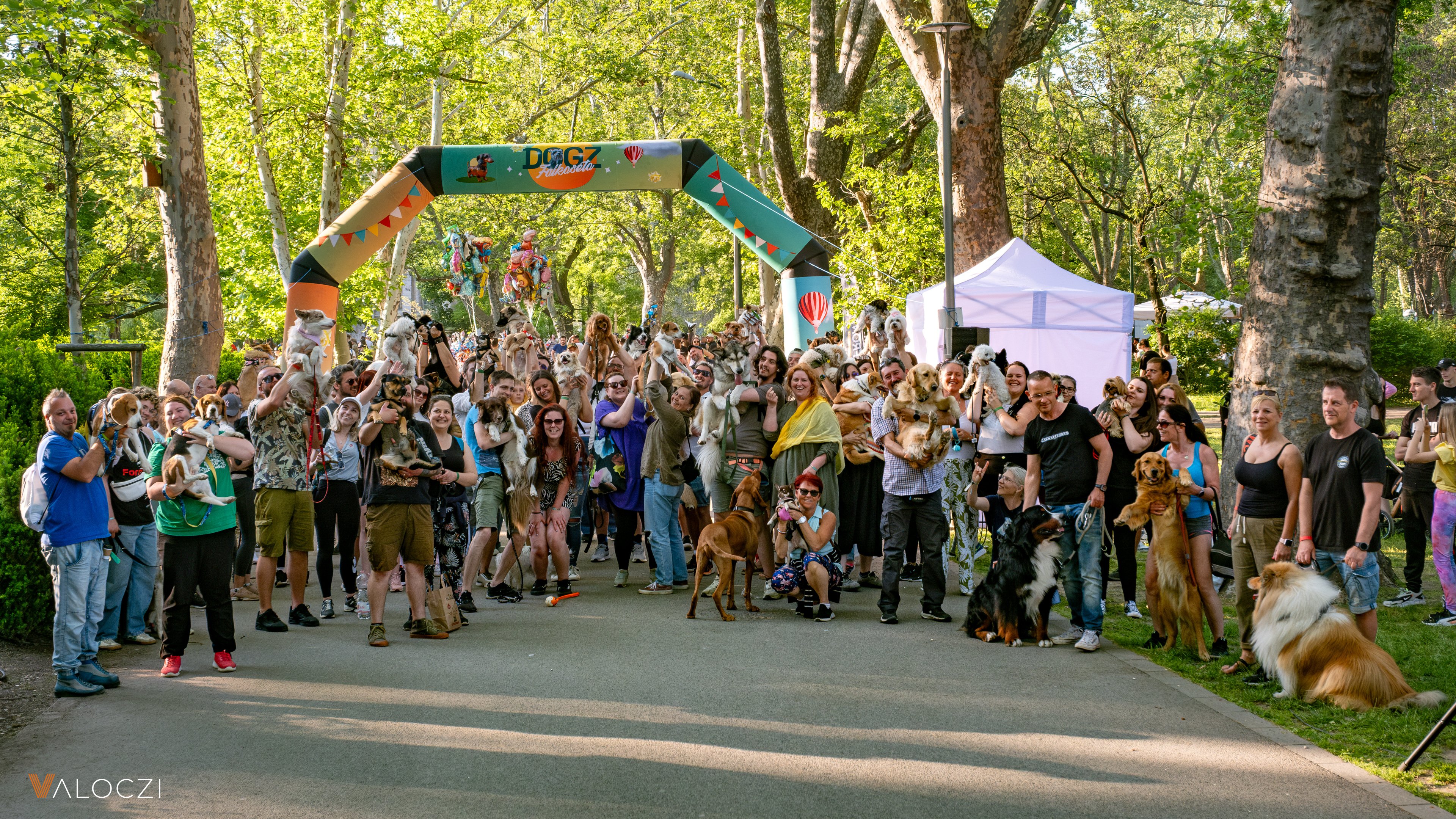 Közös falkaséta a DOGZ Fesztivál 2025-ön