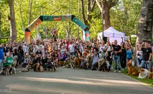 Közös falkaséta a DOGZ Fesztivál 2025-ön