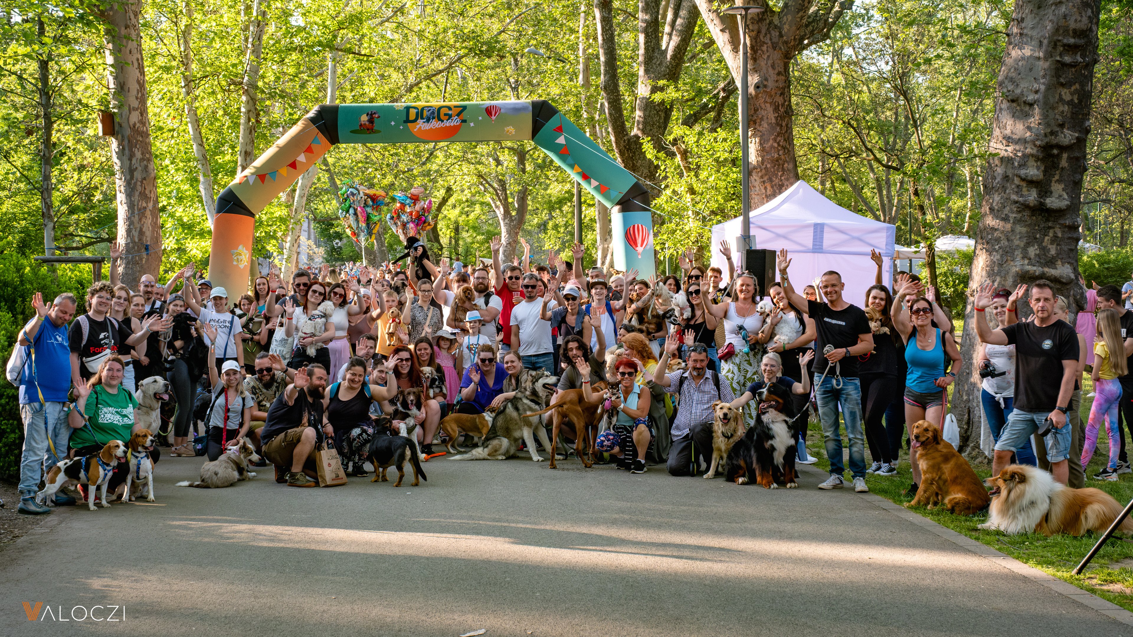 Közös falkaséta a DOGZ Fesztivál 2025-ön
