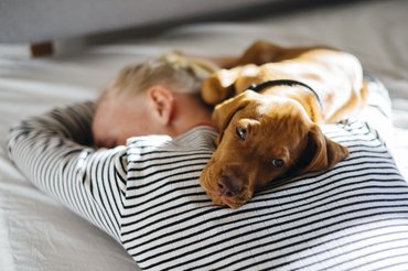 kutya a gazdája hátán