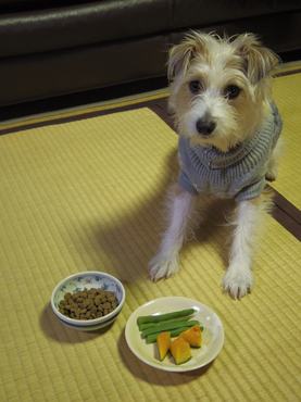 kutya zöldséget eszik vacsorára