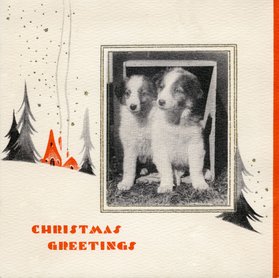 kutyás képeslap 1934-ből