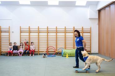 kutyás foglalkozás