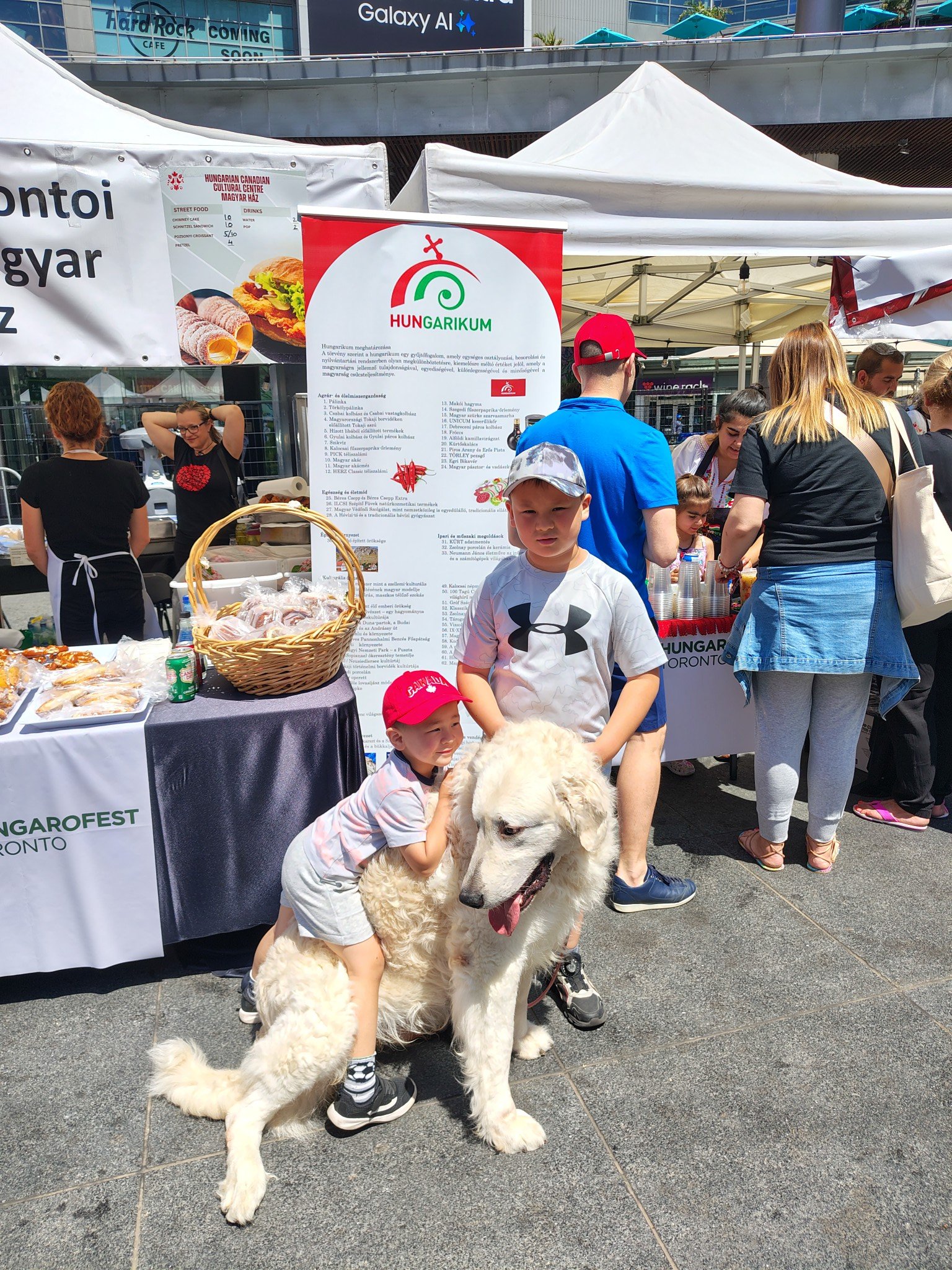 kuvasz a Hungarofesten