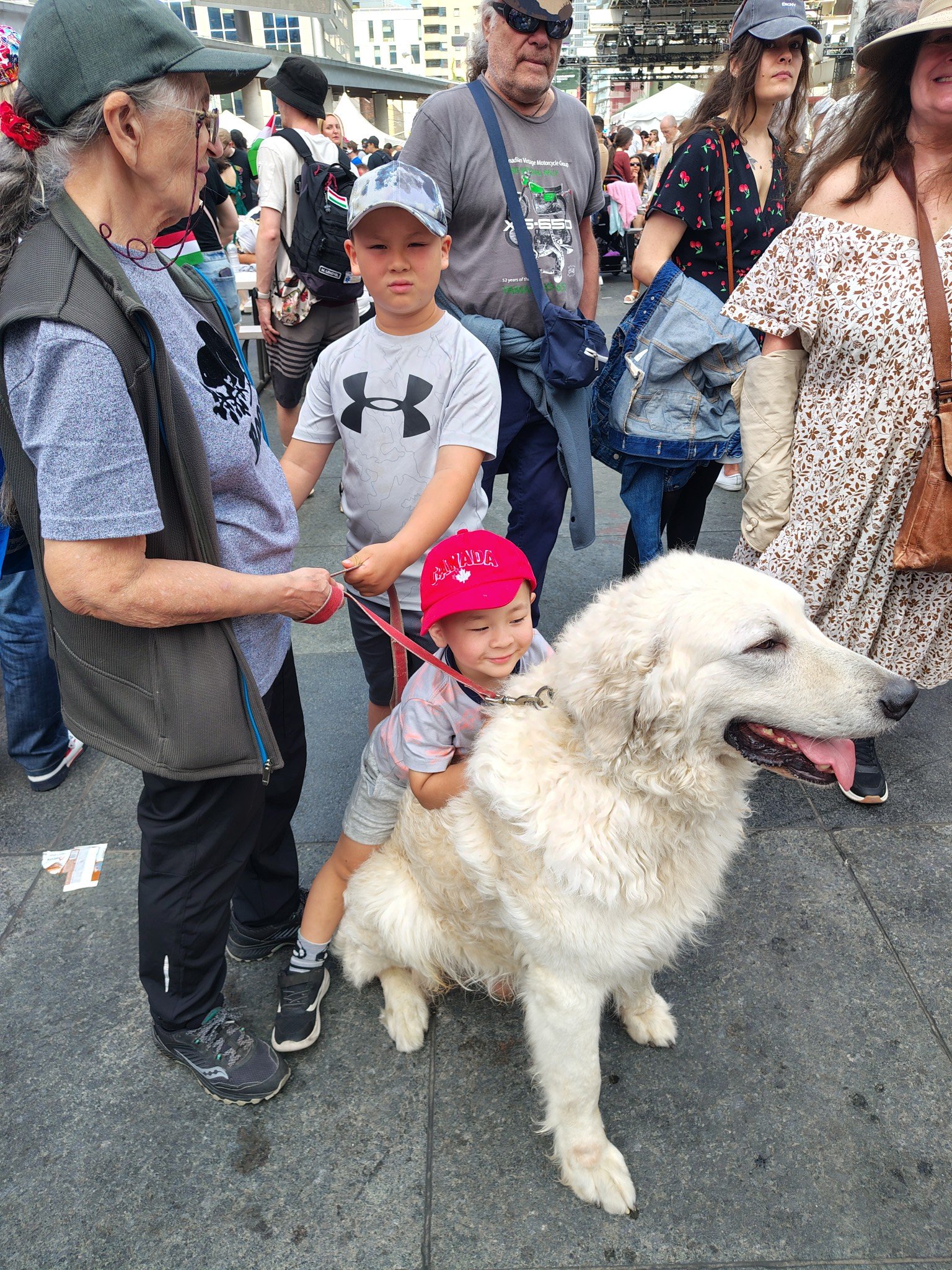 kuvasz gyerekkel