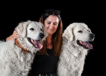 kuvaszok stúdióban gazdájukkal