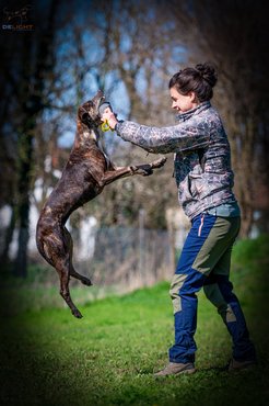 Leopárdkutya a gazdájával