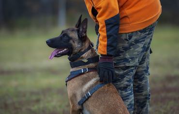 malinois gazdájával sportolni készül