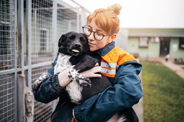 menhelyi kutyát ölel a dolgozója