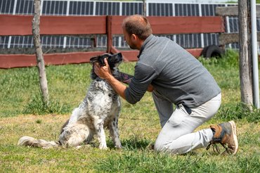 menhelyi kutyus boldogságban a gondozójával