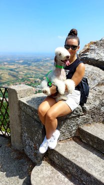 szilfai barbara tenyésztő bedlington terrierrel