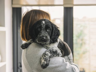 puppy with his owner