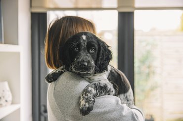 puppy with his owner