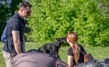 Kutya puszit ad a gazdájának a DOGZ Fesztiválon