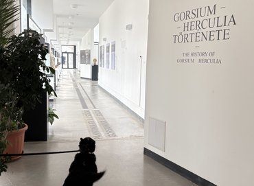 Kutya a régészeti kiállításon Gorsiumban