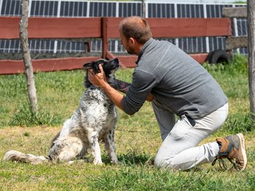 Shelter dog woth his carer