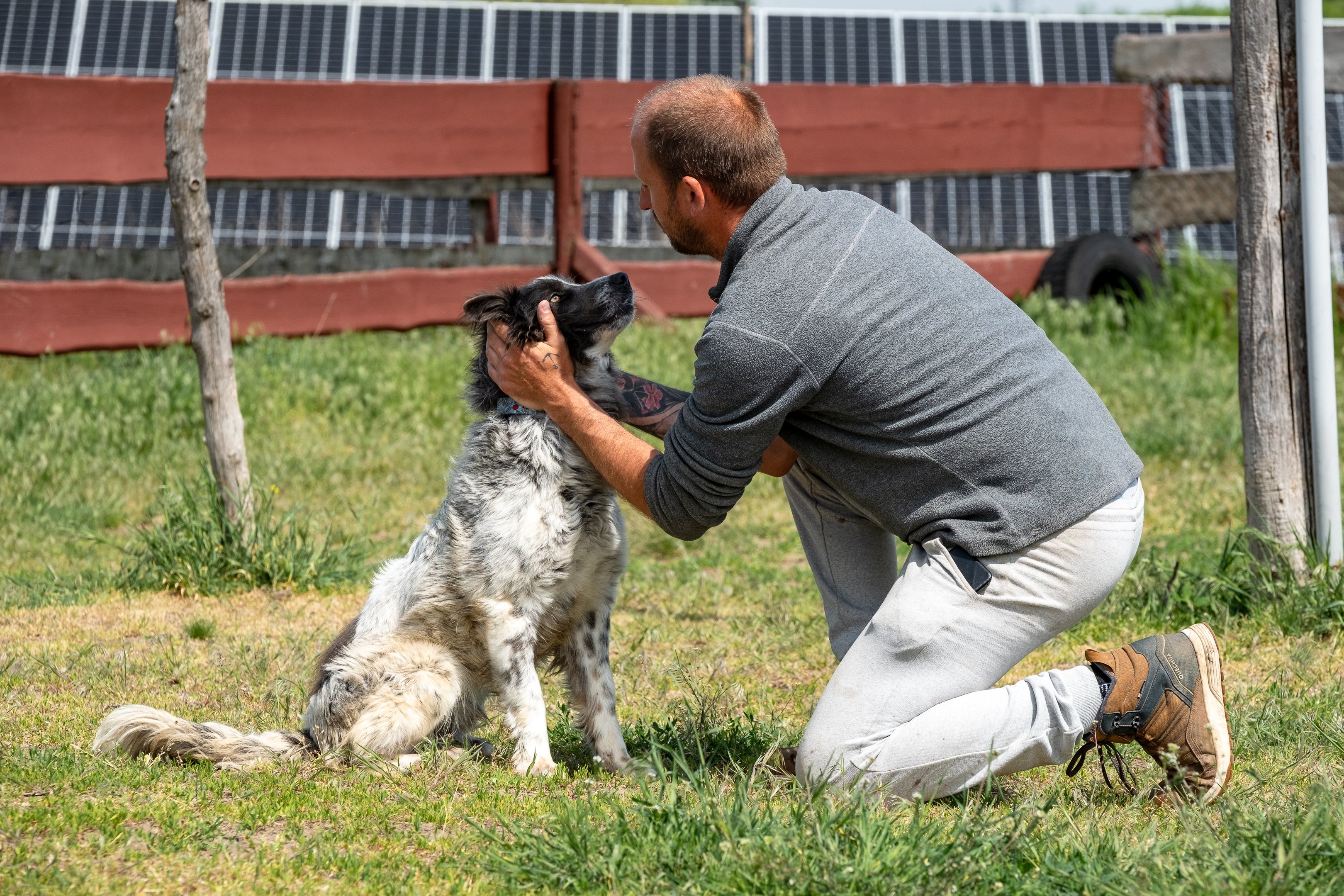 Shelter dog woth his carer