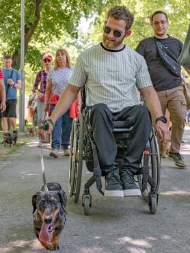 Gazda és tacskója a DOGZ Fesztivál tacskófalkasétáján