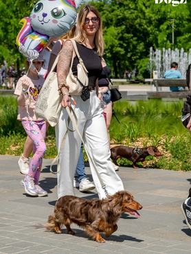 tacskó falkaséta dogz fesztivál 2025