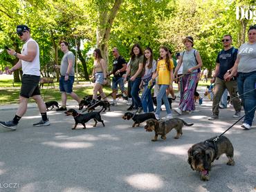 tacskó falkaséta dogz fesztivál 2025