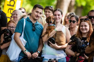 tacskó falkaséta dogz fesztivál 2024